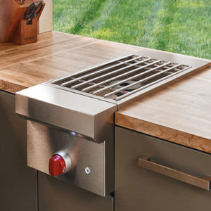 BUILT-IN BURNER MODULE